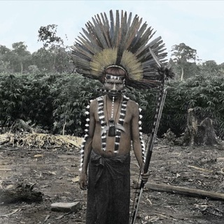 Иней на цветущей ежевике