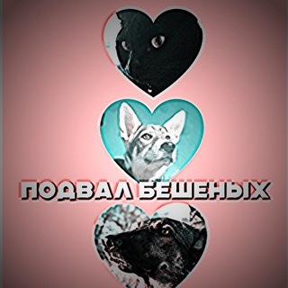 Подвал бешеных 🔫