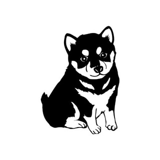 BLACK SHIBA INU(BSHIB) on BSC