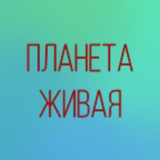 ПЛАНЕТА ЛЮБОВЬ