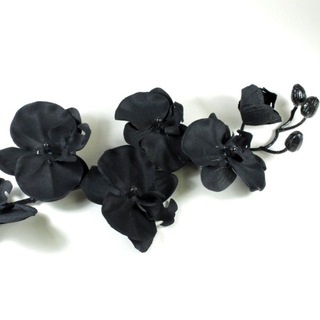 bleed1ngaccs (=^•^=)