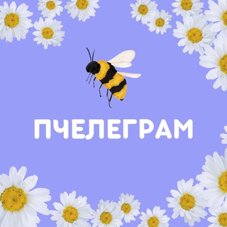 пчелеграм | про телеграм 🐝