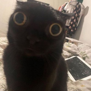 мама я сияю :З