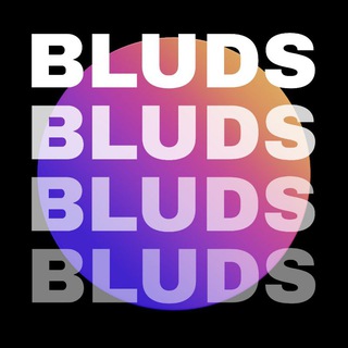 BLUDS | Мемы