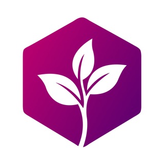 Инвестиции в картон | Настольные игры