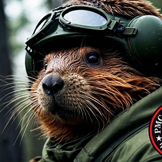 Бобер NEWS | Военные и Криминальные новости