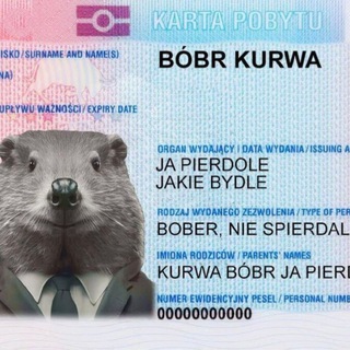 КурваБобЕр🦫