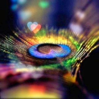 Буддизм не только для буддистов