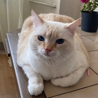 На кромке лезвия