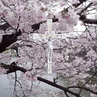 ଘ δ𑄝ટ꯭𑜅᧗ᤢoິટ꯭𑜅 υִ‌𝑘𑄝𝙣‌᷼𑜅 ᛝ