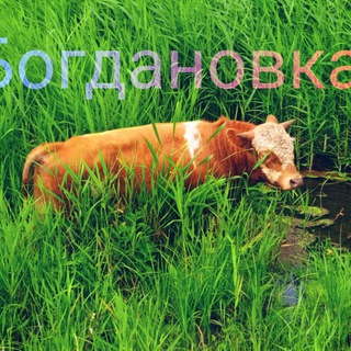 Бесконечный культ оторванности от адекватности