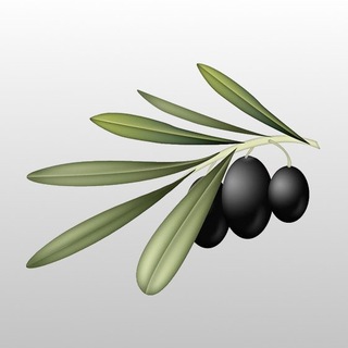 БОГОПОЗНАНИЕ