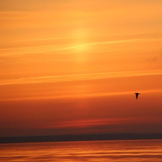 Котельный Доктор