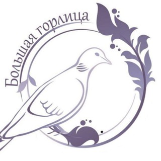 Большая горлица🕊Экология 💧Байкал