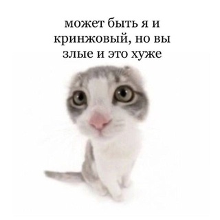 Большие города