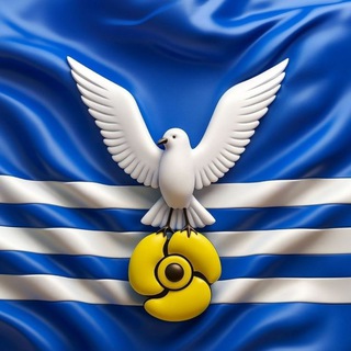 Дума городского округа Большой Камень