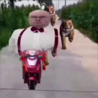 Отзывы бомбо клада