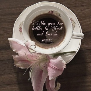 ‧₊˚ kitty's notes ˚₊