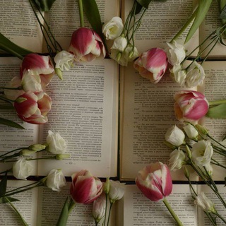 Библиотека для важных персон 👠