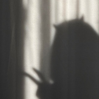 книжный Дьявол 📚