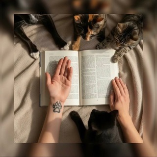 Лапки на страницах 🐾