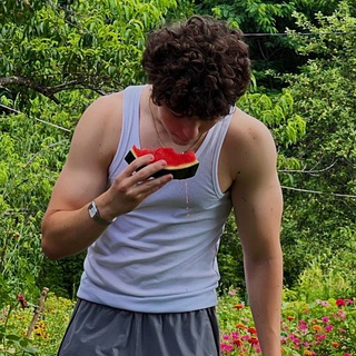 книжный медведь