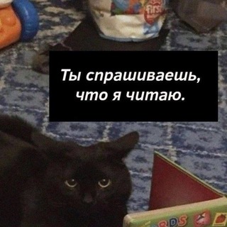 ✨я читаю и работаю✨ | bookisha