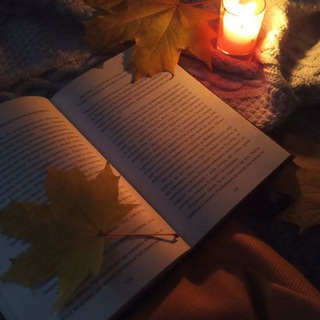 ✨📚Bookshelf 📚✨