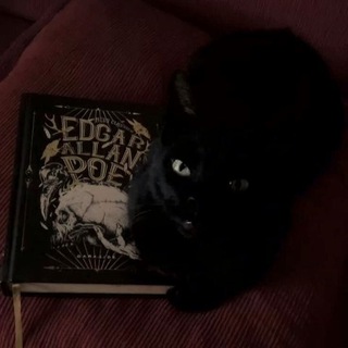 𝒃𝒐𝒐𝒌𝒔𝑾𝒃𝒍𝒐𝒈 💋