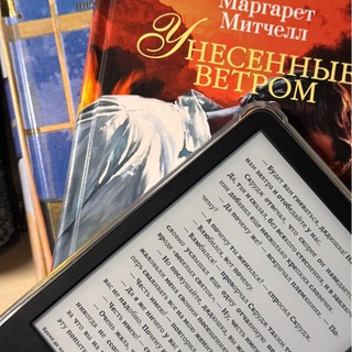 аня в мире книг