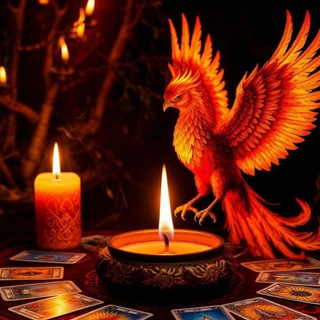 Магия Феникса. Карты, свечи и немного книг