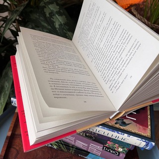 Книжная полка Шмыковой