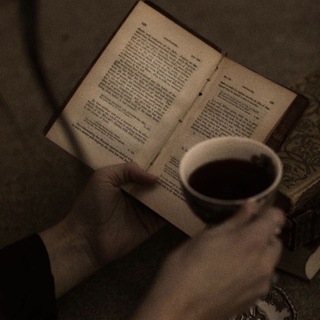 книжный кот