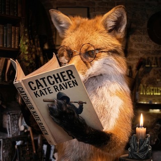 𓂃𝒷ℴℴ𝓀𝓋𝓇𝓈۶ৎ