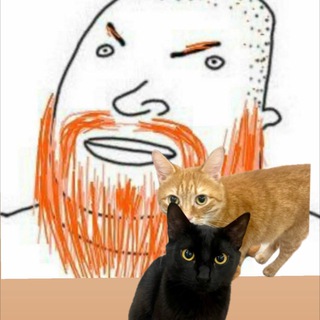Борода Угар и Котики 🐈🐈‍⬛