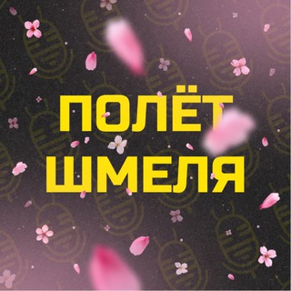 ПШ | Боруссия Дортмунд