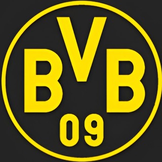 Borussia Dortmund | Желто-черный улей 🖤💛