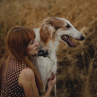 ВЕТДИЕТ.ПРО