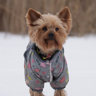 Борцуха Милк&Мартин 🎃