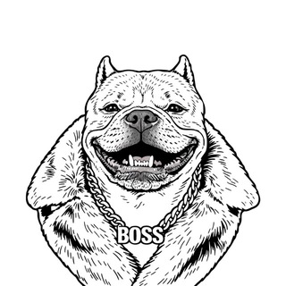 Фэшн от Боси Печенюшкина