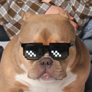 Бося Печенюшкин