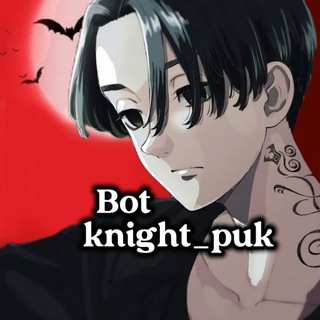 Bot knight_puk
