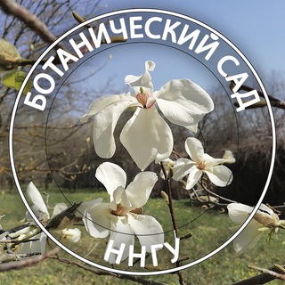 Ботанический сад ННГУ