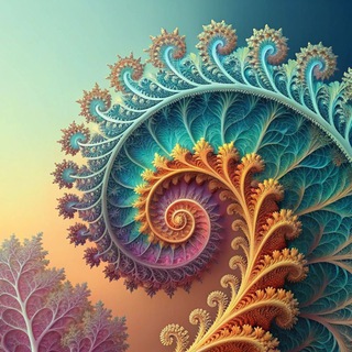 Палата вышмата