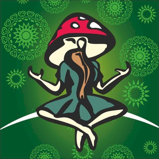 БОТАНИКА МИРА| Природные адаптогены(ежовик, кордицепс, траметес, лисичка, кора осины, пыльца сосны)