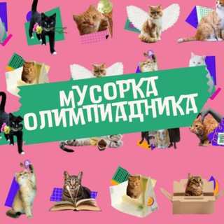 Мусорка олимпиадника 💀