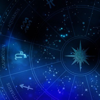 BotoMedia | Сетка Ботов