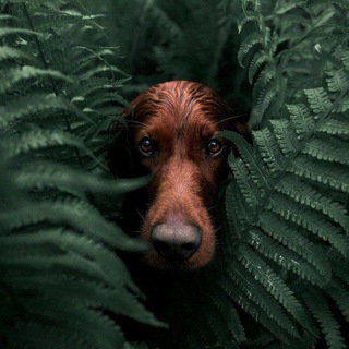 Старый бульвар | Мари про книги