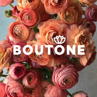 BOUTONE - цветы доставка Жуковский Люберцы Жулебино Раменское