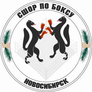 МБУДО «СШОР по боксу»